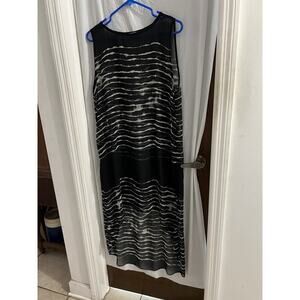 Zara Woman Black White Striped Zebra Sheer Sleeveless Dress Sz L High Low Hem